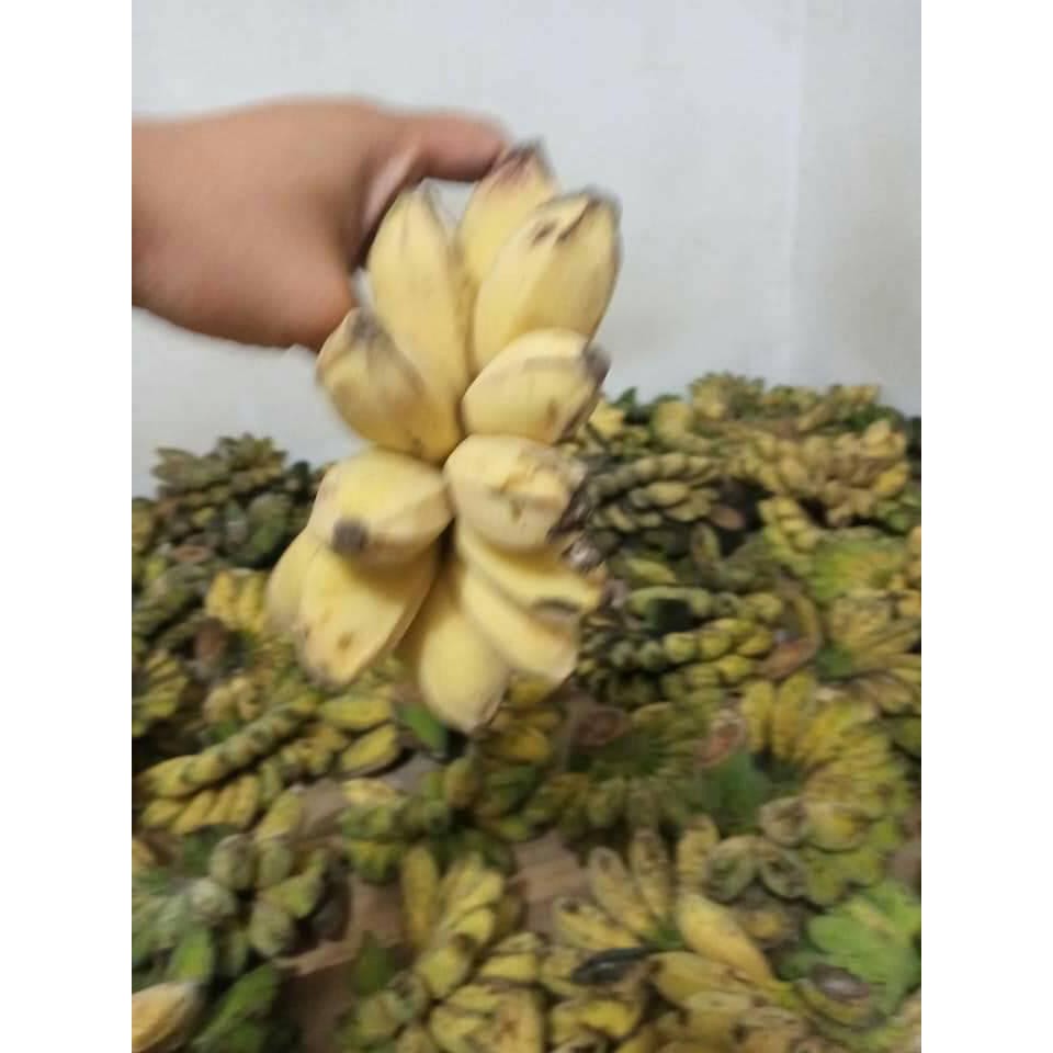 CHUỐI SÁP NGHỆ MIỀN TÂY