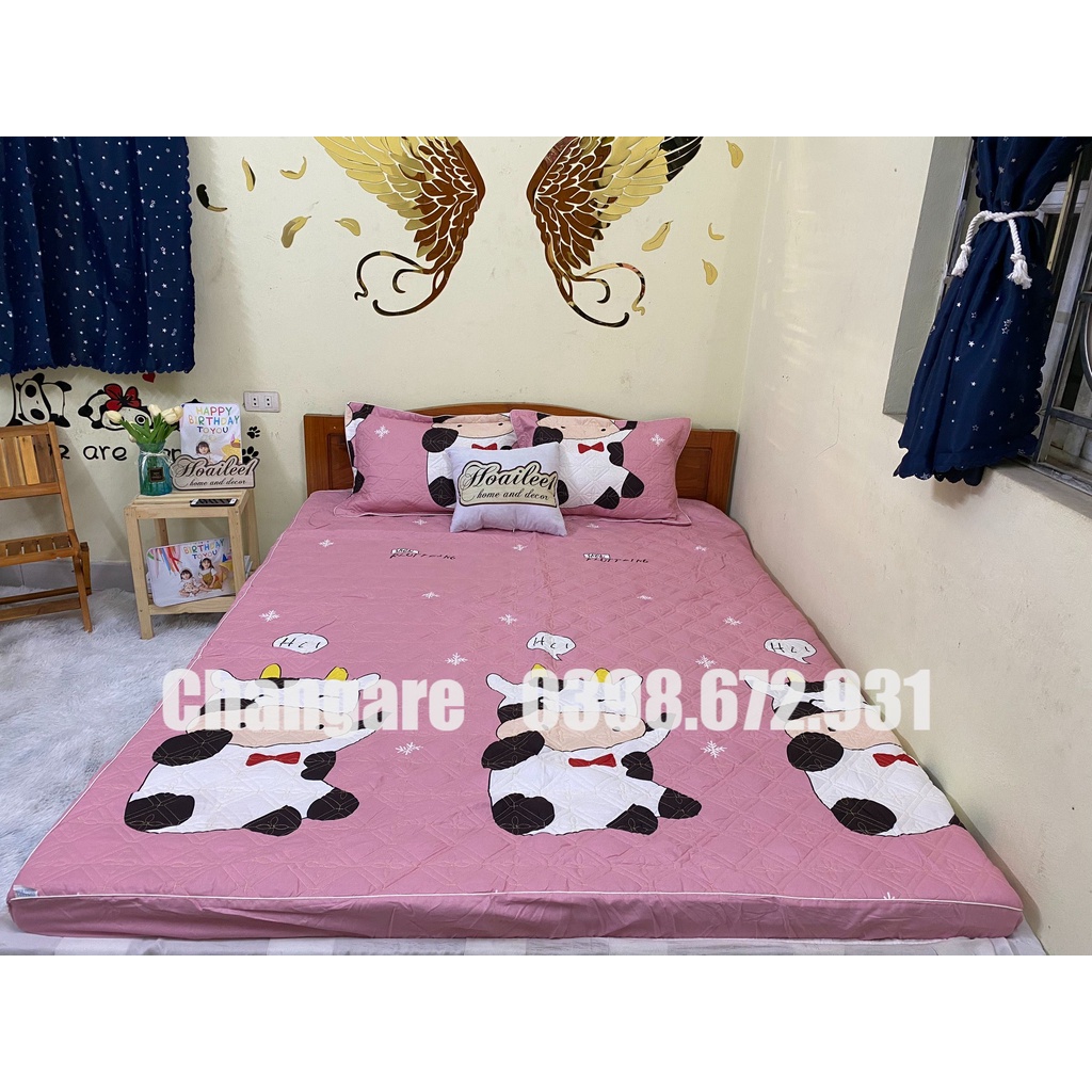 (Set 5 món) Bộ Chăn Ga Gối Trần Bông Ga Chun Ga Trải Giường Nhiều Kích Thước M6 M8 2M2