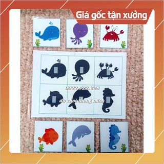 [Bán Giá Gốc] HỌC LIỆU CHO BÉ IC003: Set matiching tìm bóng 3 Sinh vật Biển