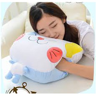 Chăn gấu bông chăn mèo GBC