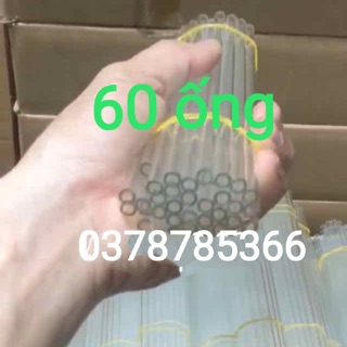 Ống thuỷ tinh thí nghiệm combo 60 trắng