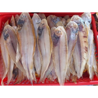 Khô cá lưỡi trâu 140k/kg