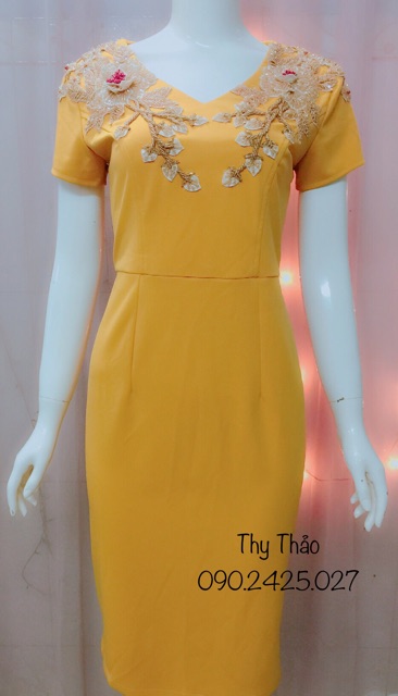 Đầm trung niên nữ dự tiệc sang trọng