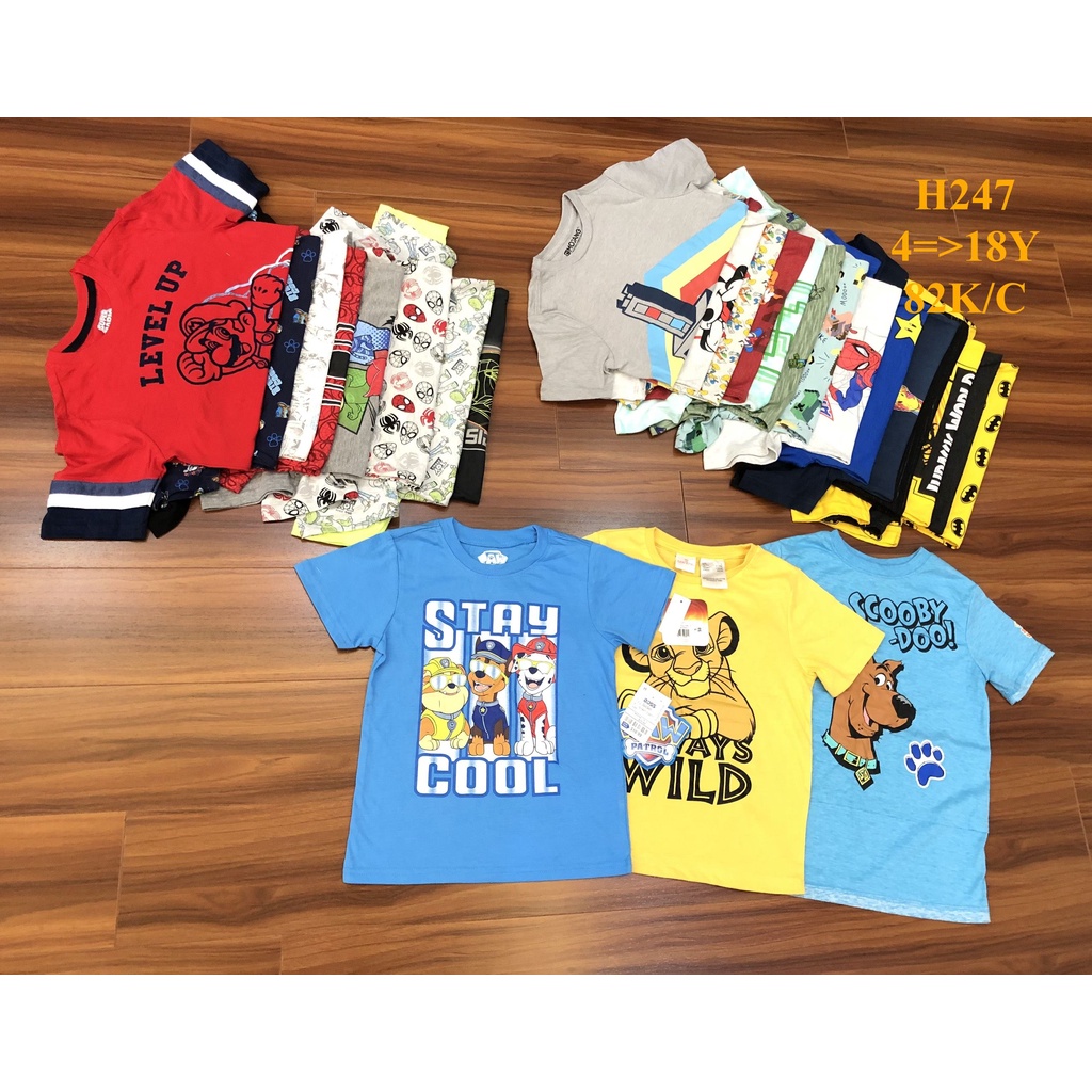 Mã H247: Áo bé trai cotton dư xịn nhiều hãng xuất dư xịn đẹp.