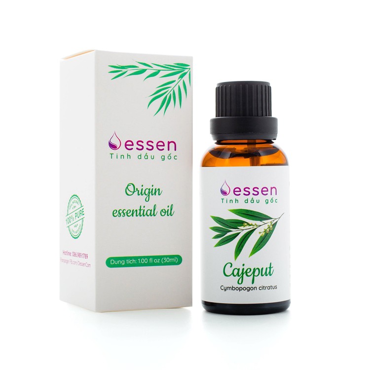 Tinh dầu Tràm Gió Cajeput Cao Cấp [Trợ giá 50%]
