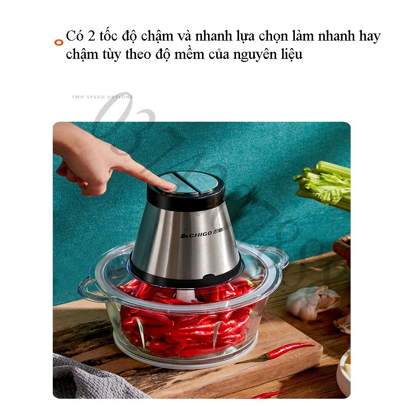 Máy xay thịt đa năng Thuỷ Tinh [May xay]