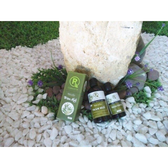 Combo tinh dầu tràm