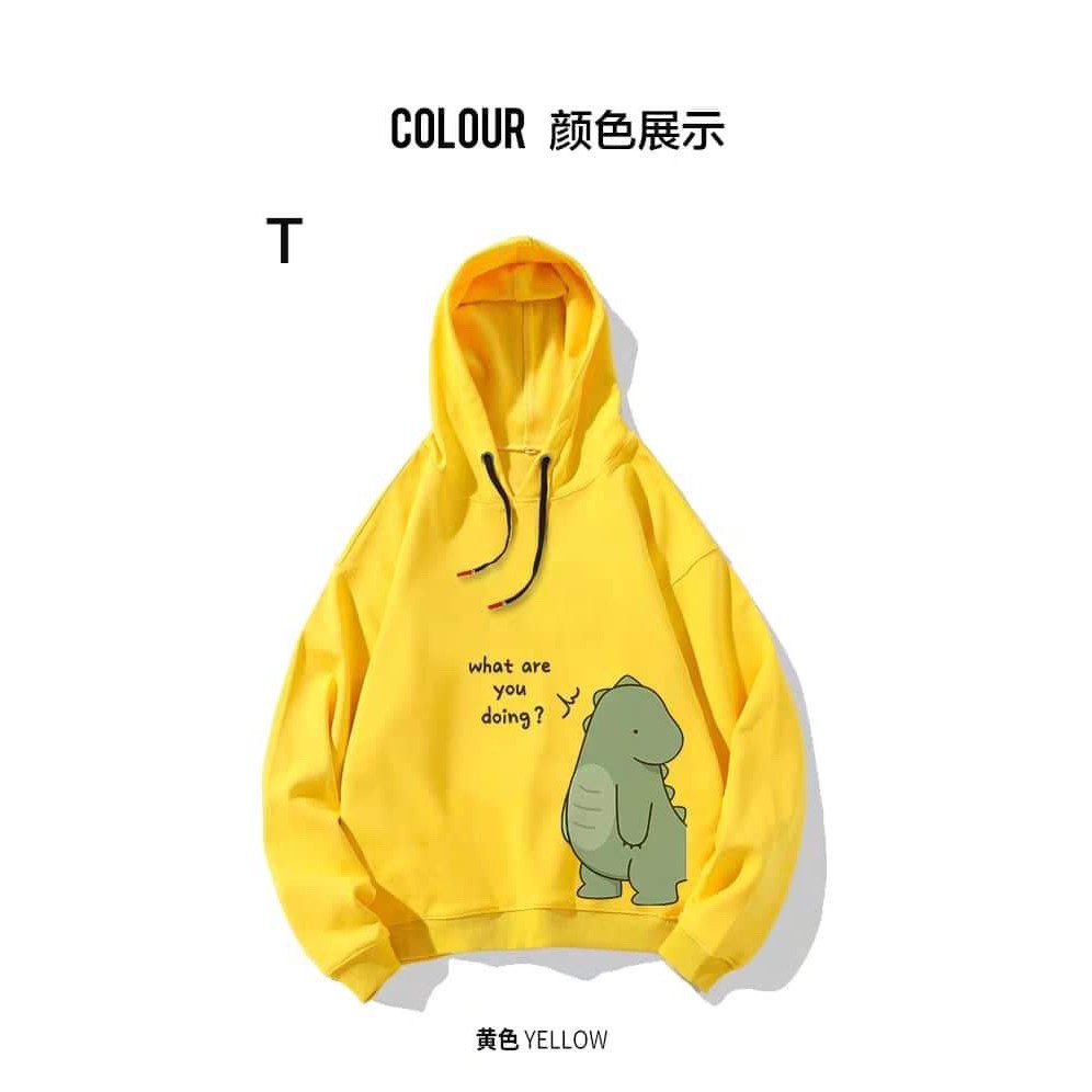 Áo đôi hoodie khủng long What are DTR1119