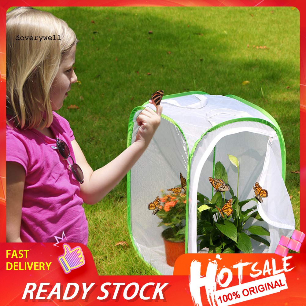 Lồng Lưới Nuôi Bướm / Côn Trùng Có Thể Gập Lại Được