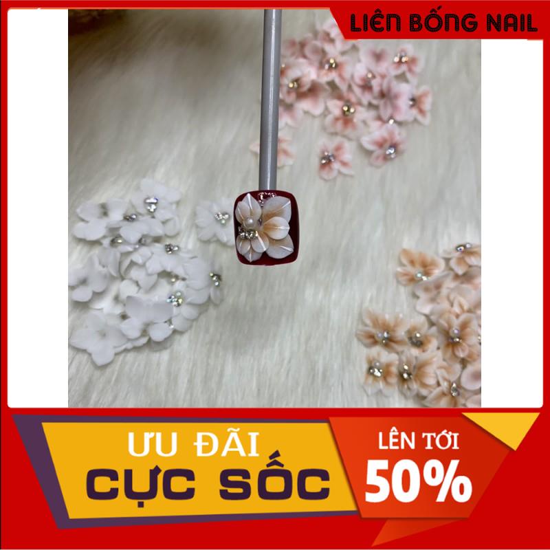 Hoa bột nail chân