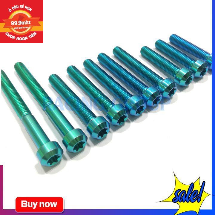 Bộ ốc lốc máy Vario GR5 (10 con 2 con 6li65, 4 con 6li30, 4 con 6li40)