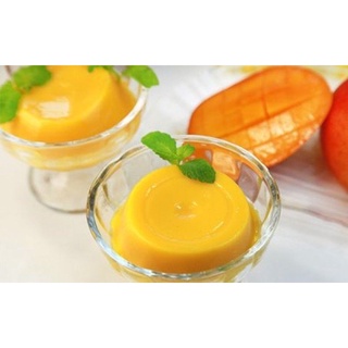 BỘT PUDDING LÀM THẠCH TRÀ SỮA TẠI NHÀ THƠM NGON(50gr-100gr)