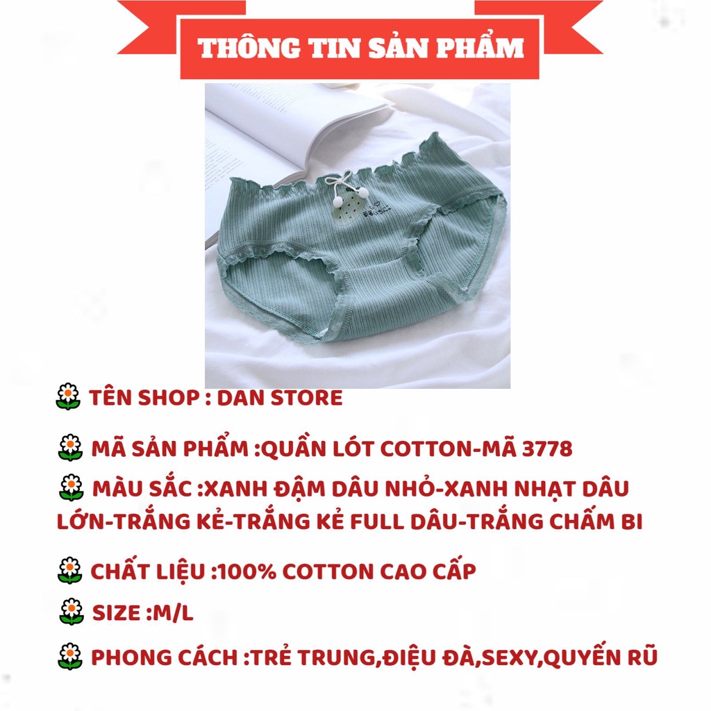 Quần Lót Cotton - Quần Lót Nữ Cotton gân tăm viền ren thiết kế trẻ trung thoáng mát DAN STORE MÃ 3778