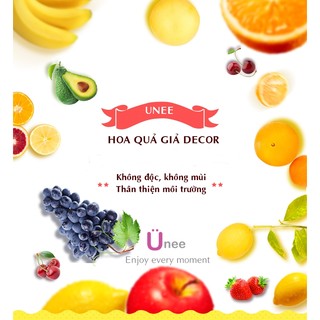 Combo 10 quả mận trang trí
