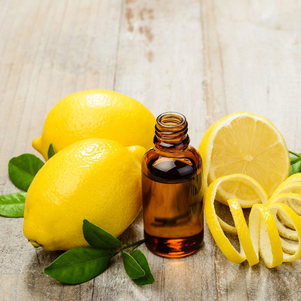 Tinh dầu Chanh Ấn Độ Nguyên chất ( Lemon essential oil ) GUTY