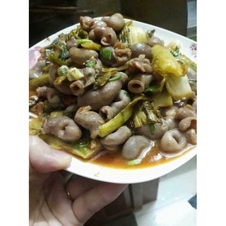 BAO TỬ CÁ BASA