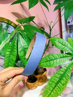 Bờm tóc trơn nhiều màu bờm basic đẹp