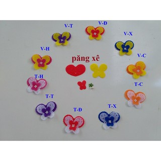 cOMBO  10 bộ hoa păng xê