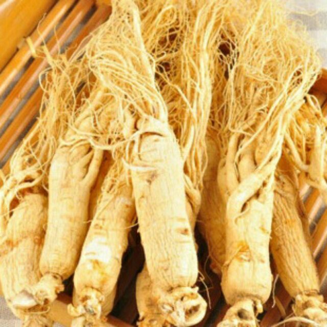 Sỉ giá gốc nhâm sâm 50g - 100g - 150g - 200g