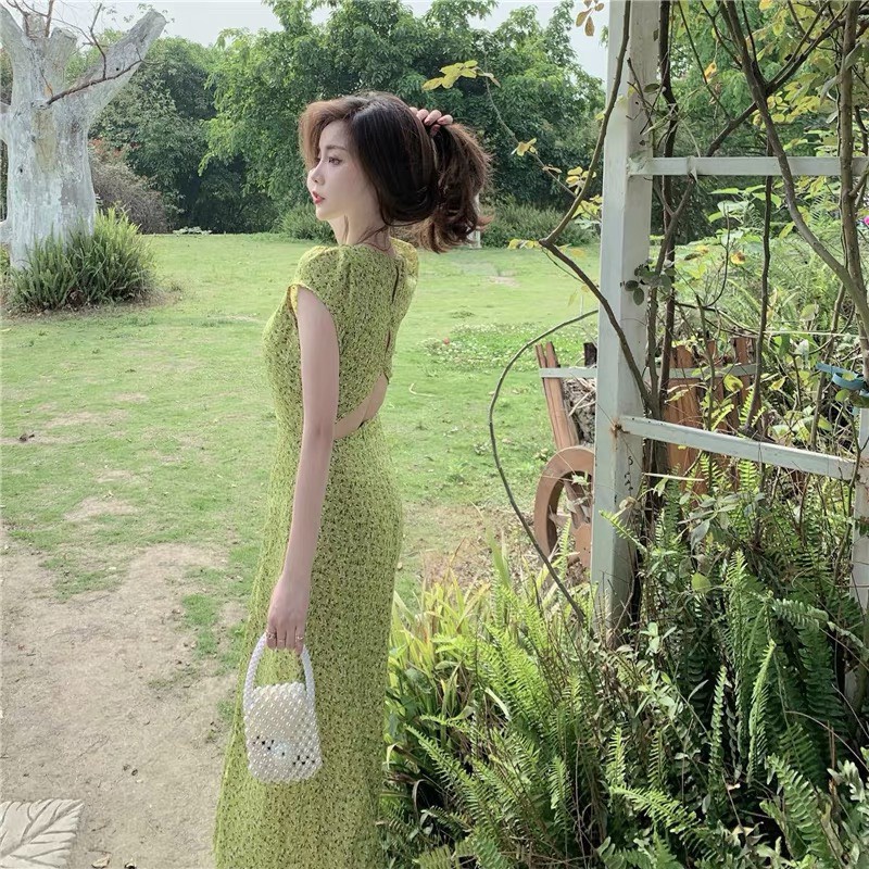 ĐẦM HOA NHÍ XANH LÁ HÌNH THẬT