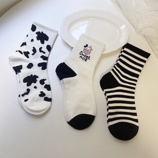 Set tất bò sữa cổ cao 5 đôi