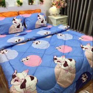 Set chăn phao ga gối poli cotton