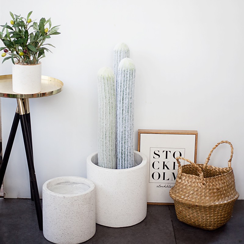 [Cây giả] Chậu xương rồng đuôi chuột CC392