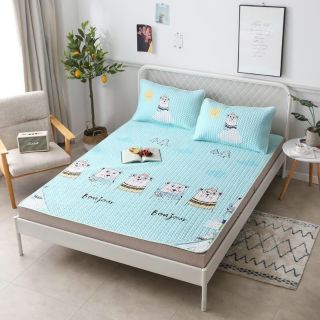 CHIẾU ĐIỀU HÒA TENCEL 2D GIÁ RẺ (OC)