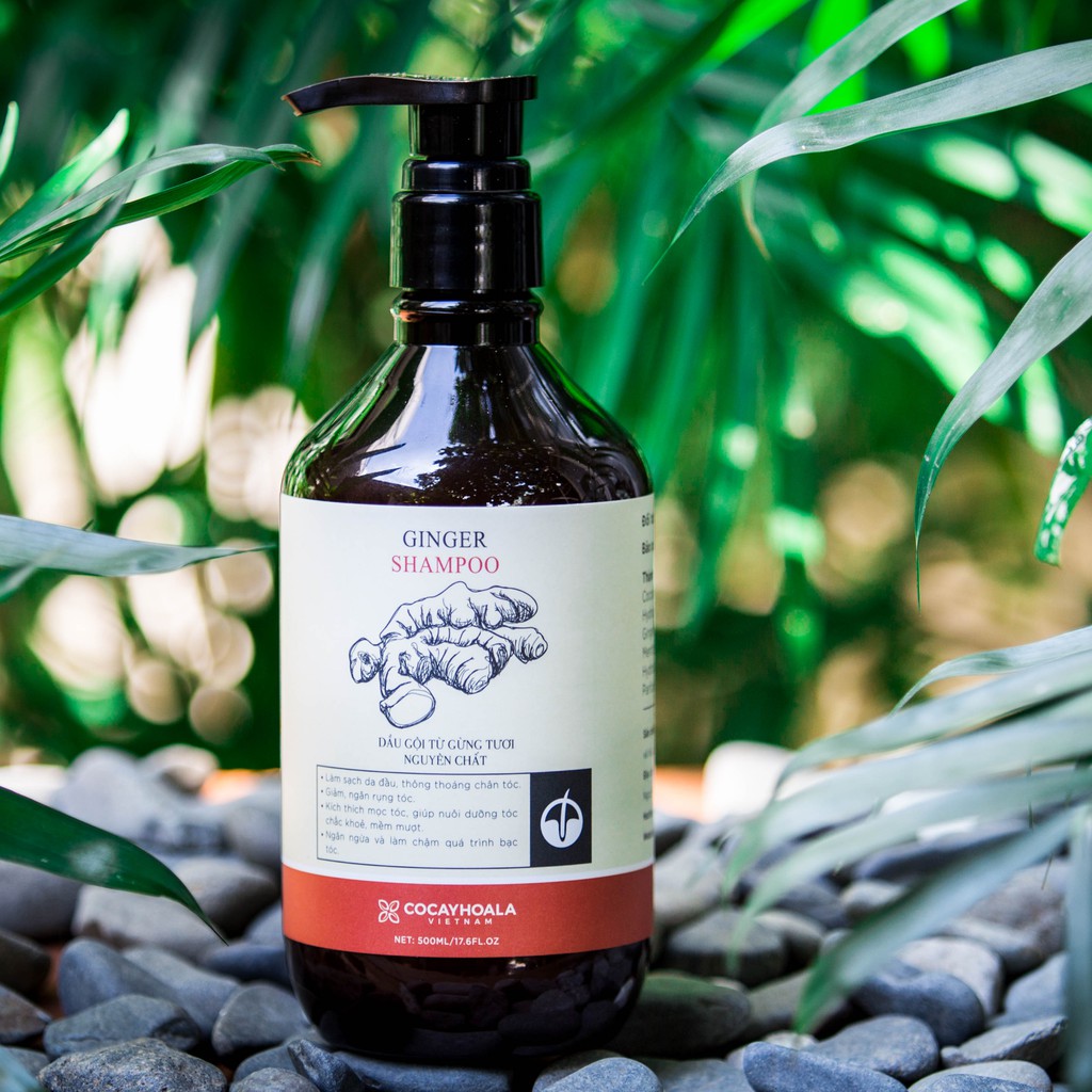 Dầu gội gừng không silicon trị gàu 500ml | BigBuy360 - bigbuy360.vn