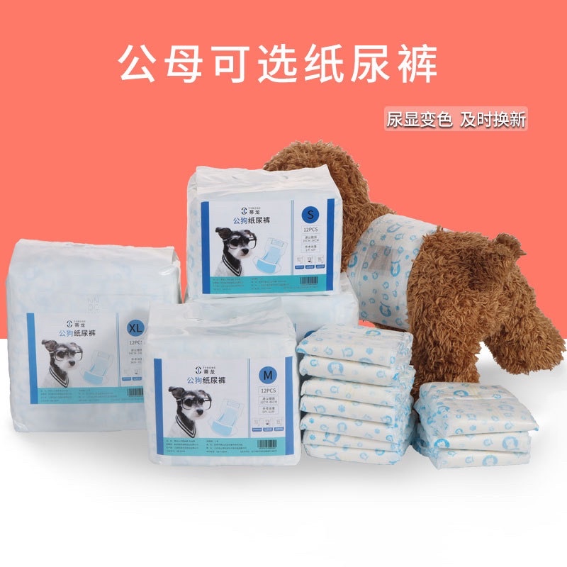 Tả cho cún đực hút thấm tốt cho bé thoải mái cả ngày