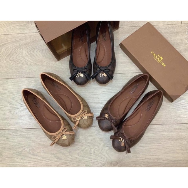 Giày bệt búp bê