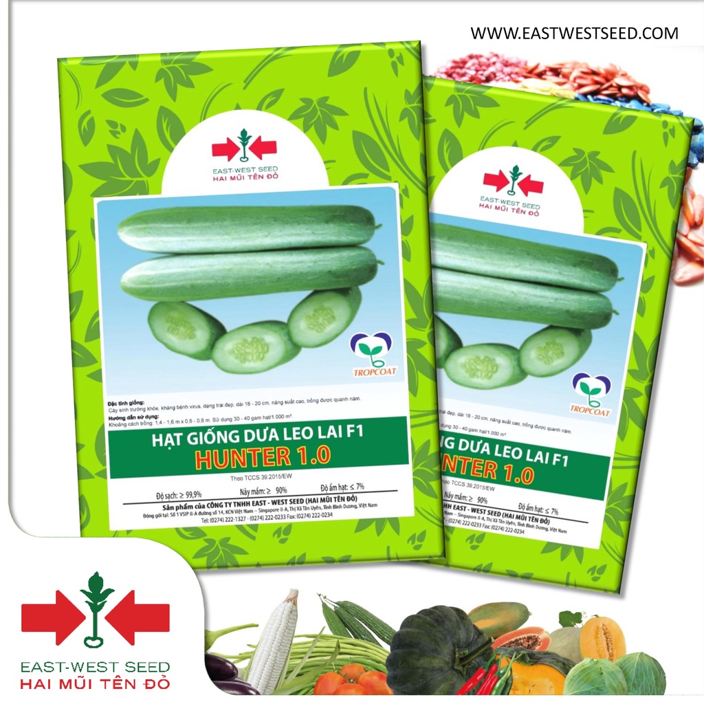BỘ 2 GÓI 35 HẠT DƯA LEO LAI F1 HUNTER 1.0 CỦA EAST-WEST SEED (HAI MŨI TÊN ĐỎ)