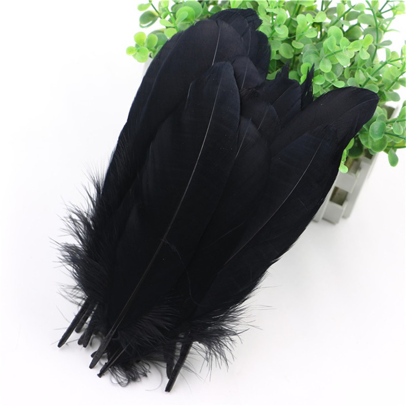 Lông Vũ Màu Đen 50x 4-8inch Trang Trí Nhà Cửa lông vũ giá rẻ - hơn