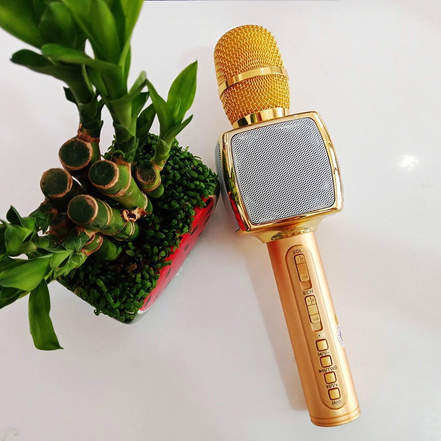 Micro karaoke bluetooth SD 16 ⚡FREE SHIP⚡ không dây có loa âm thanh cực hay - BH 6 tháng - CAM KẾT CHÍNH HÃNG