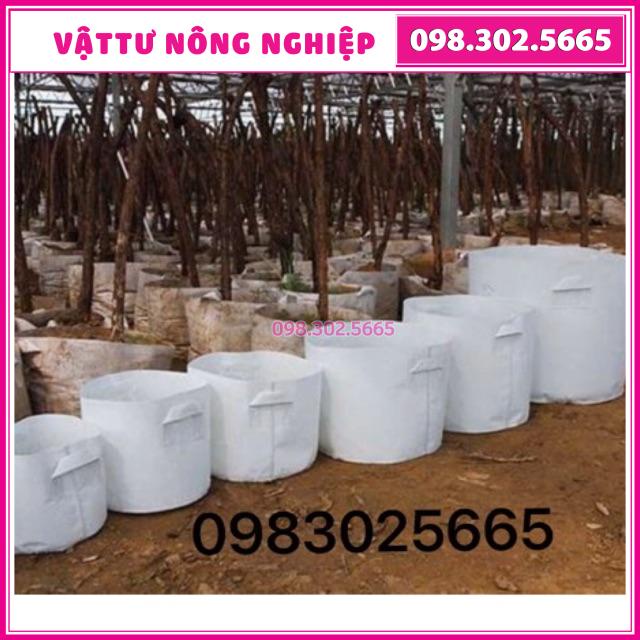 Túi vải trồng cây có quai kích thước 35x30