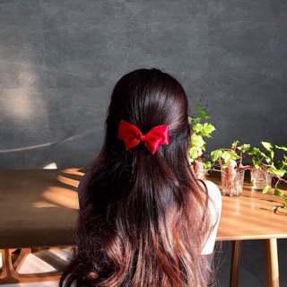 Kẹp nửa đầu xinh xắn