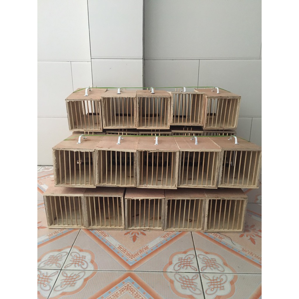 Hộp đựng chim khi di chuyển