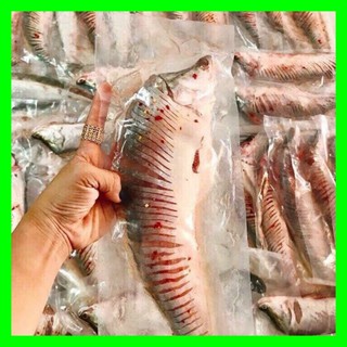 CÁ THÁC LÁC RÚT XƯƠNG set 2 con (hoả tốc HCM)