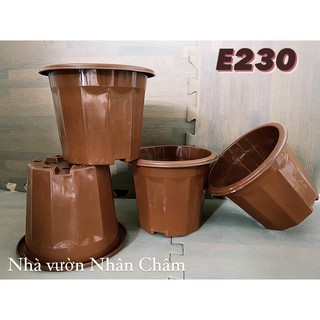 Chậu nhựa trồng cây E230- chậu ươm cây loại 1