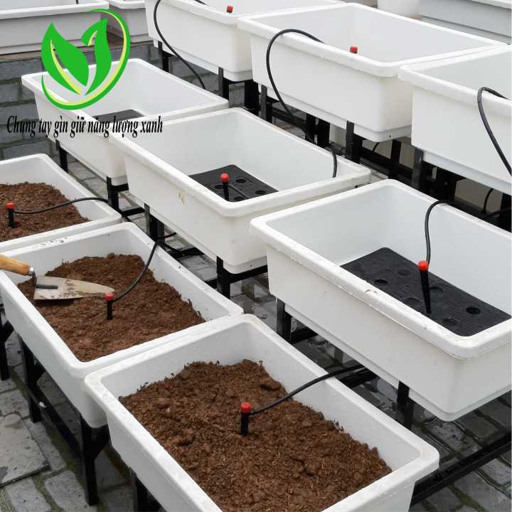 Que tưới nhỏ giọt 8 tia cắm gốc