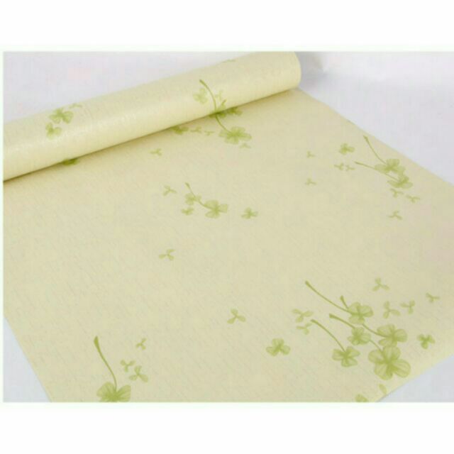 Decal dán tường 5m