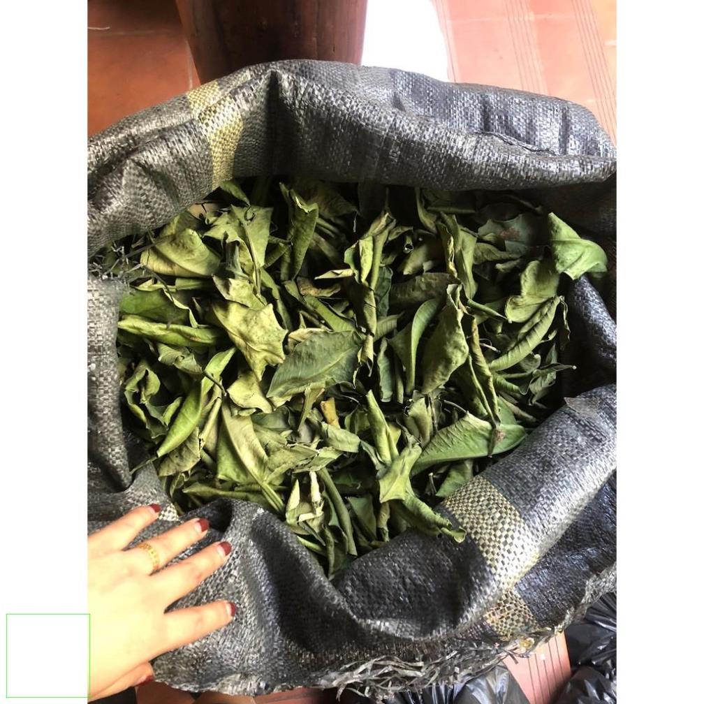 500gr Lá bưởi khô xanh thơm sạch