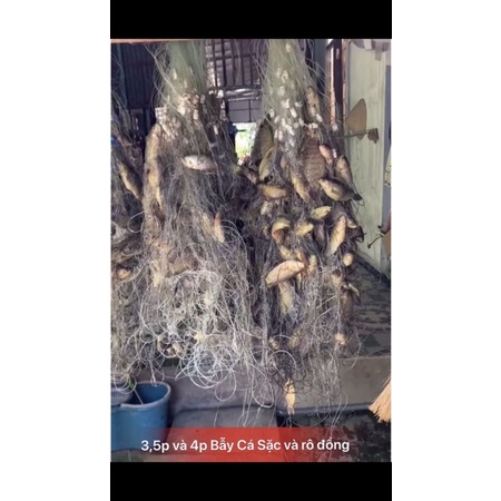Lưới 3 Màn Thái Lan tay 90/100m Cao 2m, 1,5m, 1,2m,1m,60/70cm