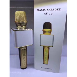 Micro kèm loa bluetooth Karaoke OK-09