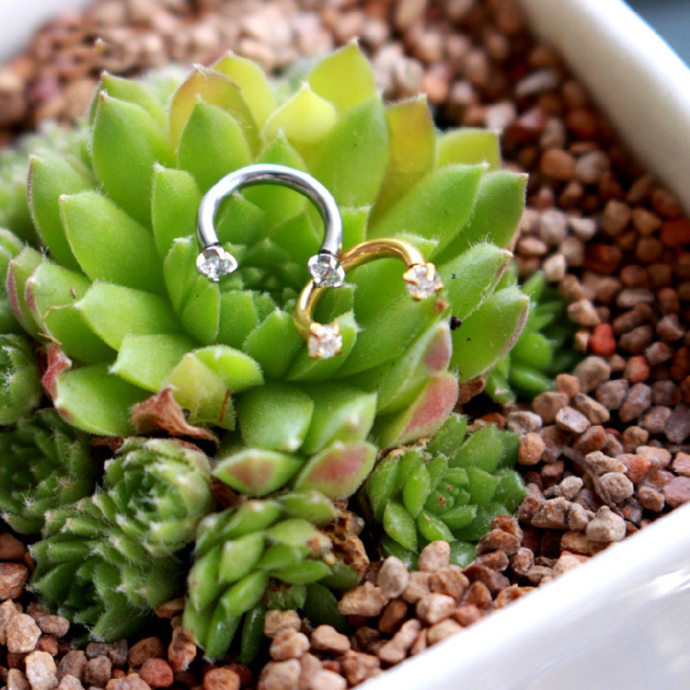 1 Khuyên Tai Chữ U Bằng Thép Titan Đính Đá Thời Trang