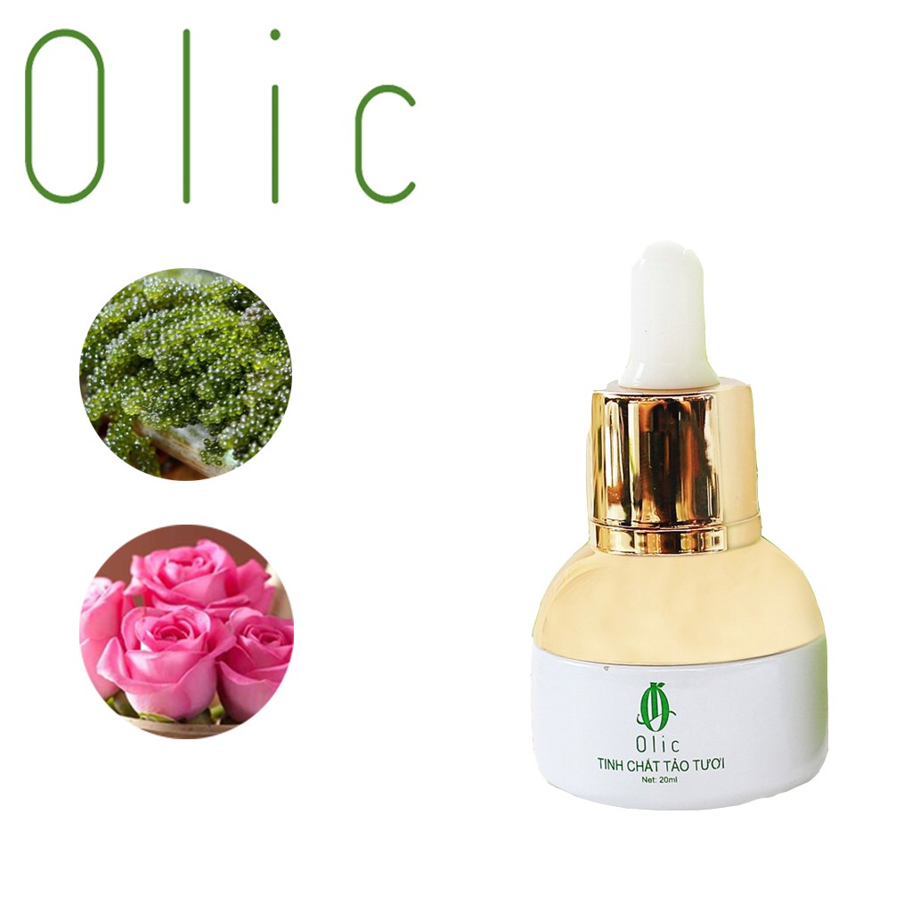 TINH CHẤT TẢO TƯƠI OLIC