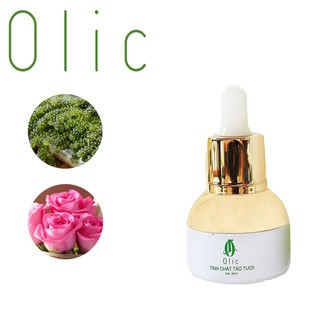 TINH CHẤT TẢO TƯƠI OLIC