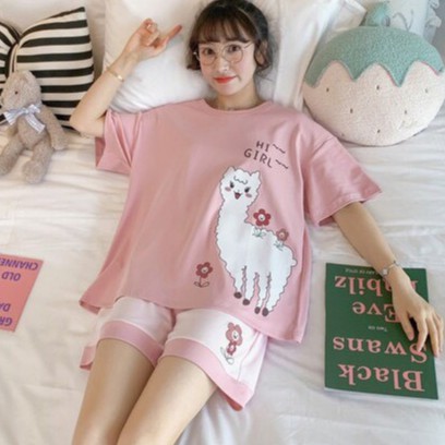 Bộ nữ quần đùi áo cộc mặc nhà mùa hè chất cotton hàng loại đẹp loại 1 - 𝐁𝐋𝟒𝟔