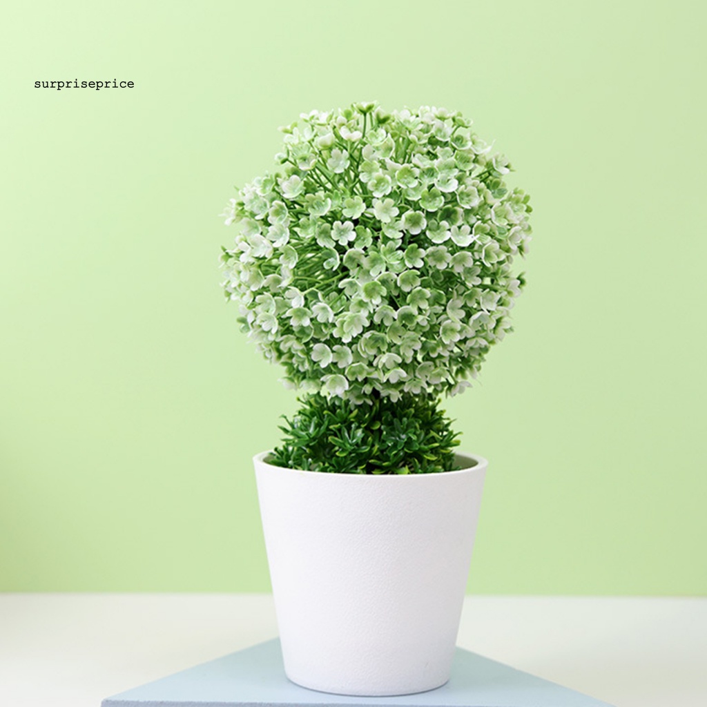 Chậu Cây Giả Trang Trí Nội Thất Đẹp Mắt