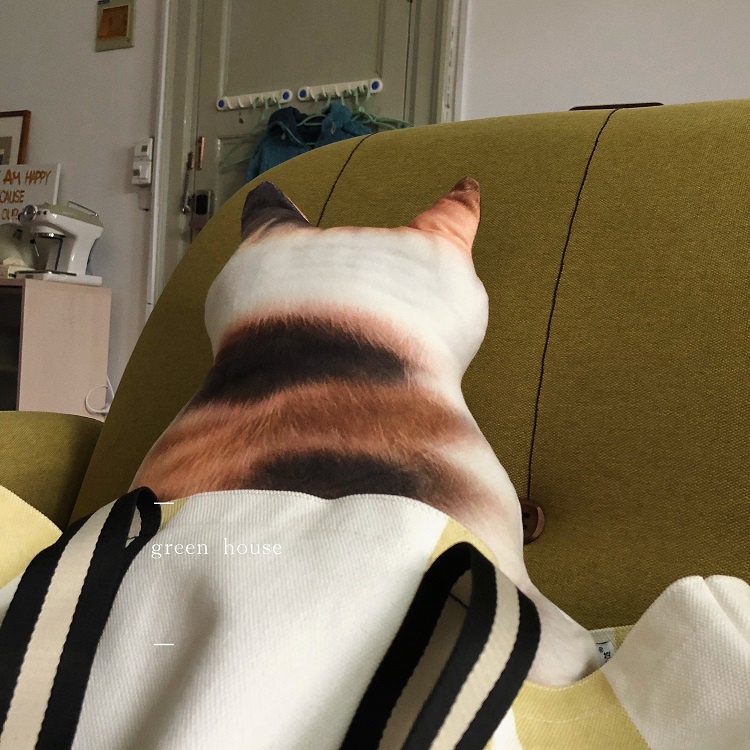 Gối nhồi bông hình con mèo dễ thương làm quà tặng/ đồ chơi cho trẻ em